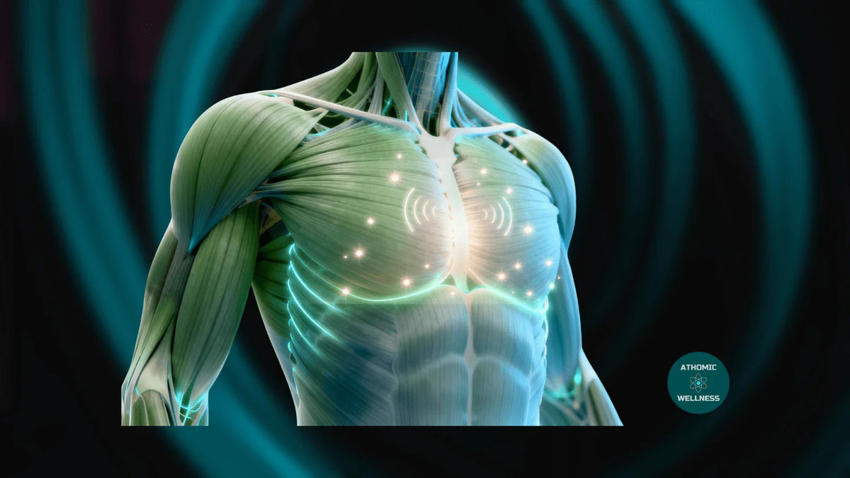 Illustration du diaphragme humain et du hoquet – Athomic Wellness.