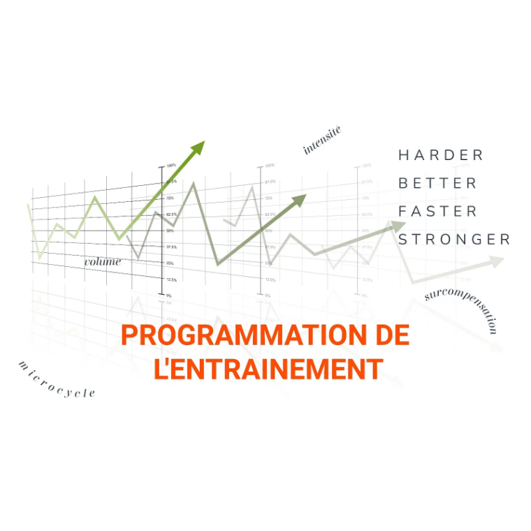 Graphique illustrant la programmation entraînement personnalisée avec intensité, volume et surcompensation